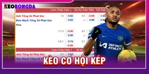 Kèo cơ hội kép